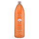 Champú Nutritivo Argan Sublime Farmavita 250 ml 1 L