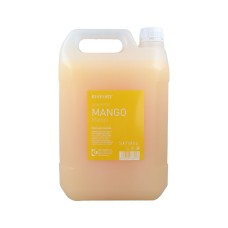 Champú Risfort Champú Mango 5 L