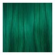 Tinte Permanente Classic Manic Panic 612600110517 Voodoo Forest (118 ml)